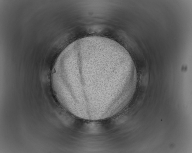 X0000091850561200710031643
