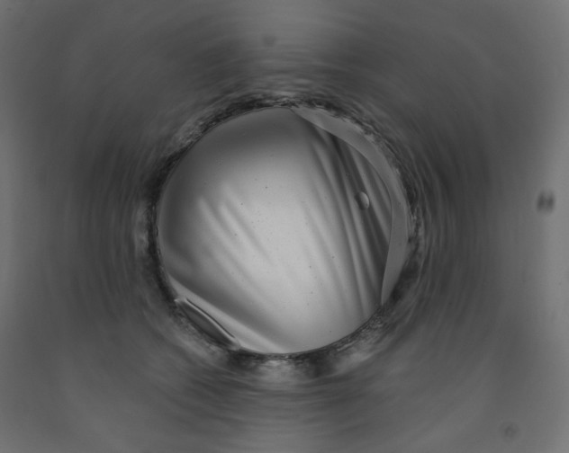 X0000091850562200710031643