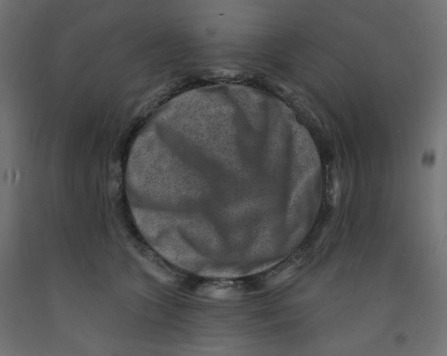 X0000091850563200710031643