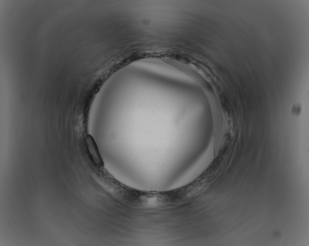 X0000091850564200710031643