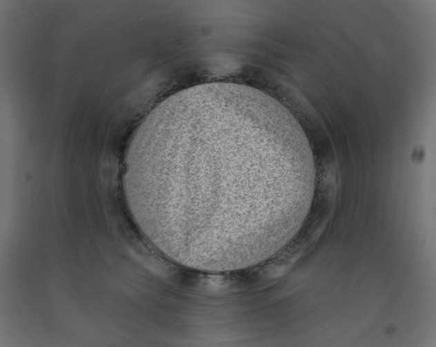 X0000091850565200710031643
