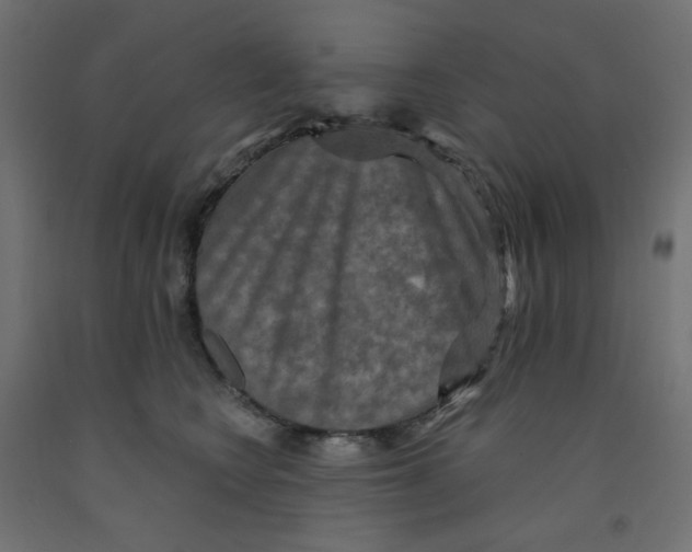 X0000091850566200710031643