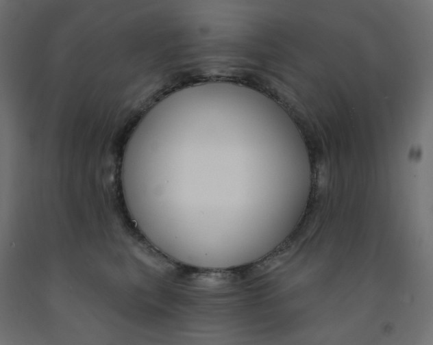 X0000091850567200710031643