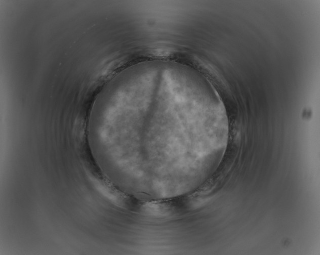 X0000091850568200710031643