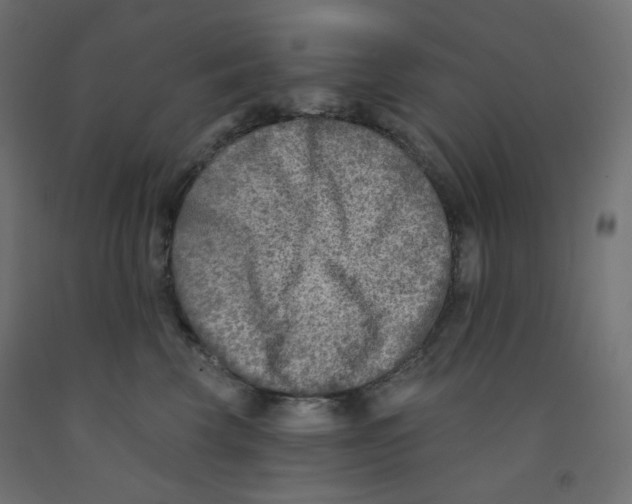X0000091850569200710031643