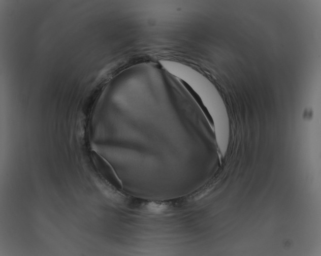 X0000091850570200710031643