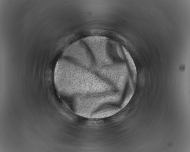 X0000091850571200710031643