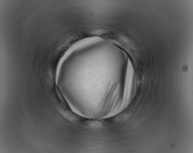 X0000091850572200710031643