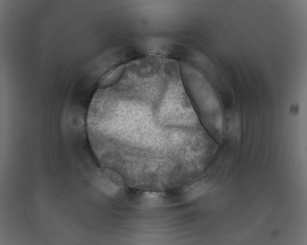 X0000091850573200710031643
