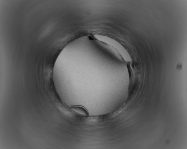 X0000091850574200710031643