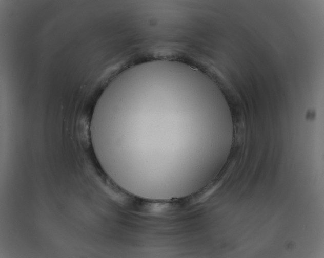 X0000091850575200710031643