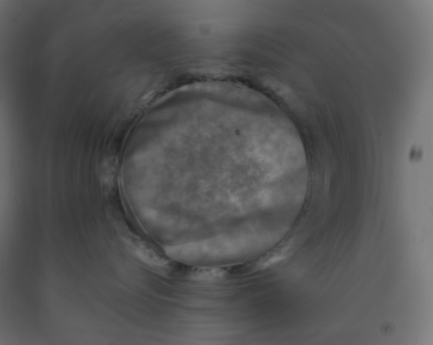 X0000091850576200710031644