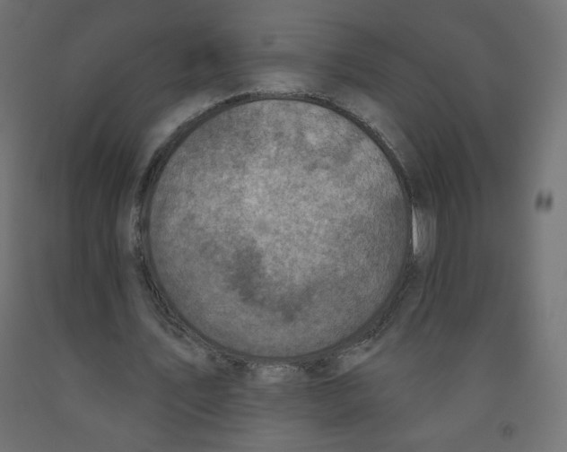 X0000091850579200710031643