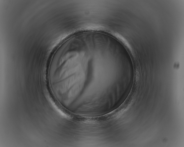 X0000091850581200710031643