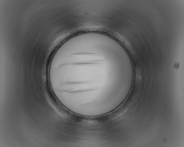 X0000091850582200710031643