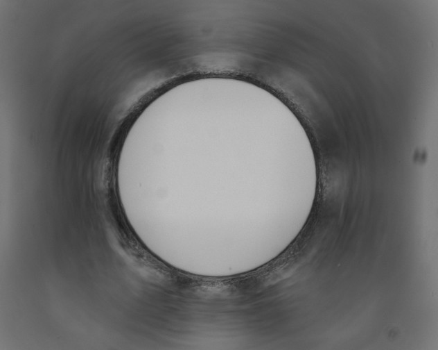 X0000091850583200710031643