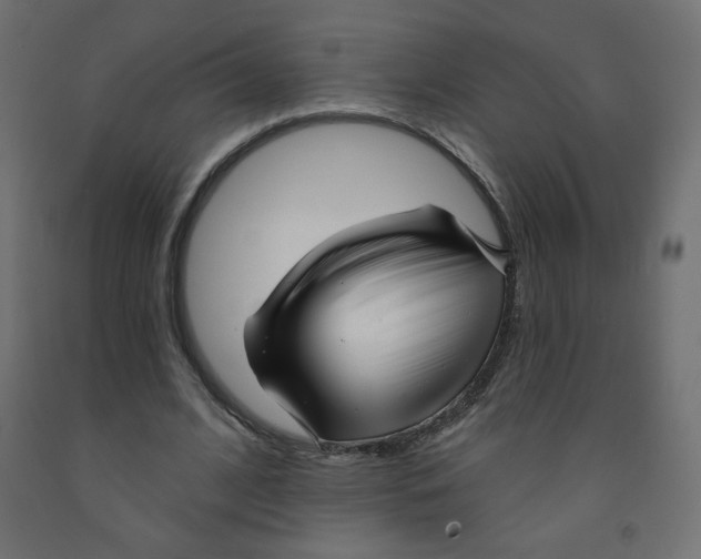 X0000091850584200710031643