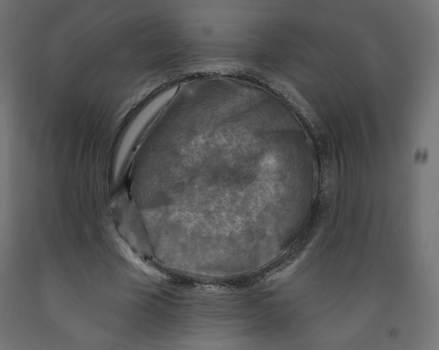 X0000091850585200710031643