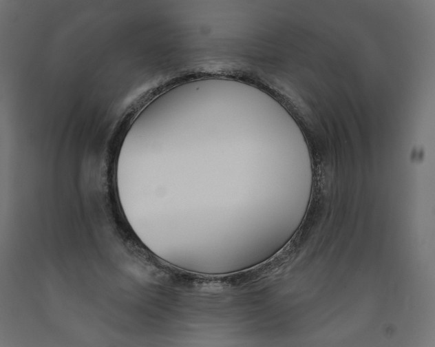 X0000091850587200710031643