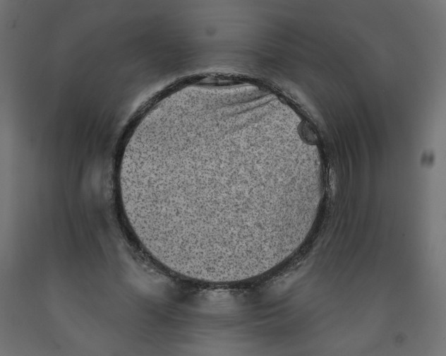 X0000091850588200710031643