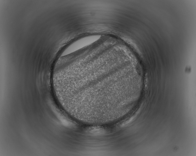 X0000091850589200710031643