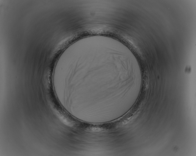 X0000091850590200710031643