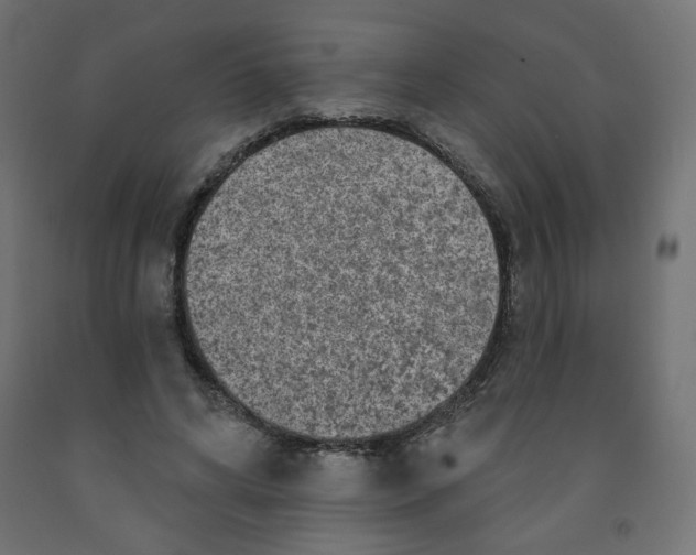 X0000091850592200710031643