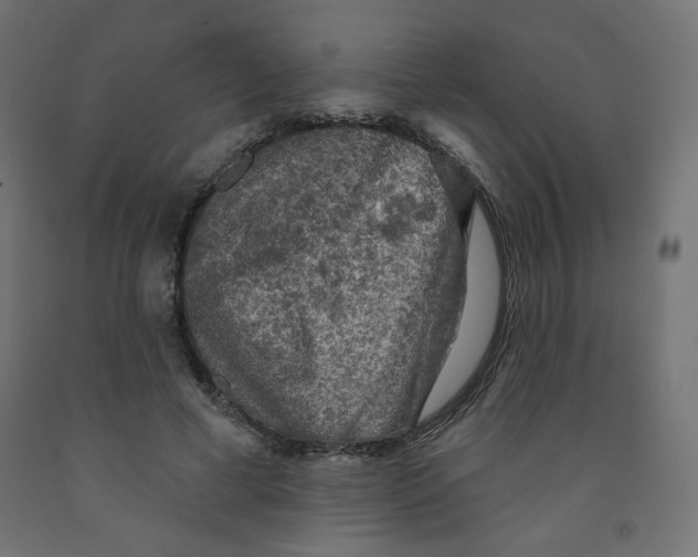 X0000091850593200710031643