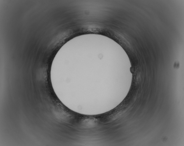 X0000091850595200710031643