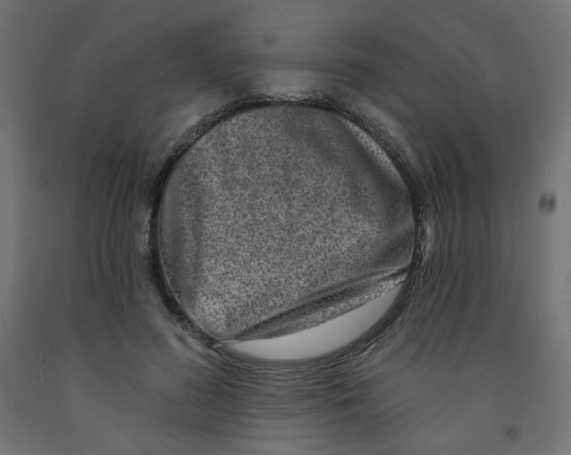 X0000091850596200710031643