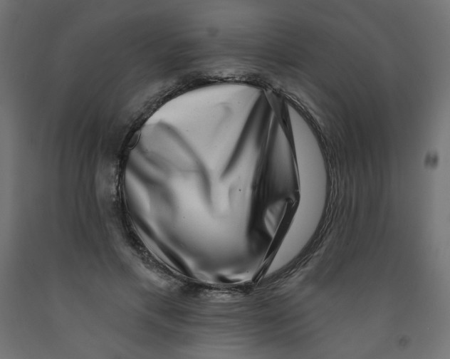 X0000091850597200710031643