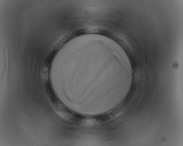 X0000091850598200710031643