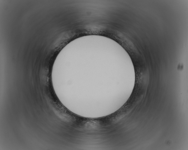 X0000091850599200710031643