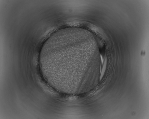 X0000091850600200710031643