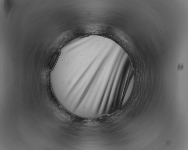 X0000091850601200710031643
