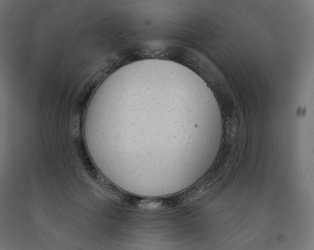 X0000091850602200710031643