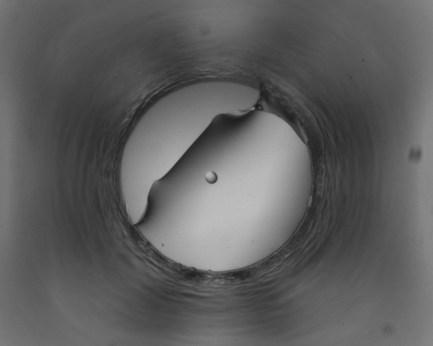 X0000091850604200710031643