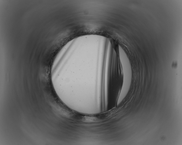 X0000091850605200710031643