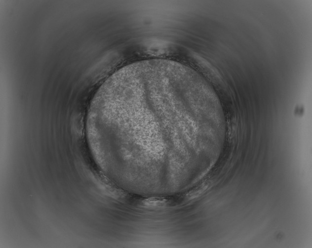 X0000091850606200710031643