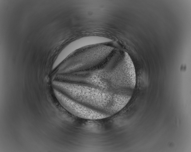 X0000091850608200710031643