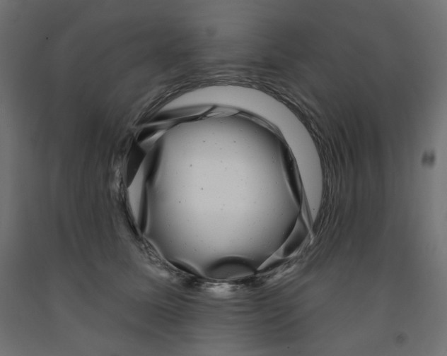 X0000091850611200710031642