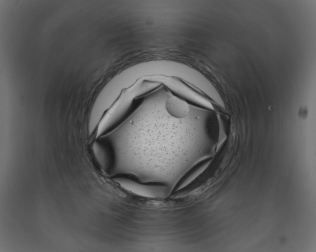 X0000091850613200710031642