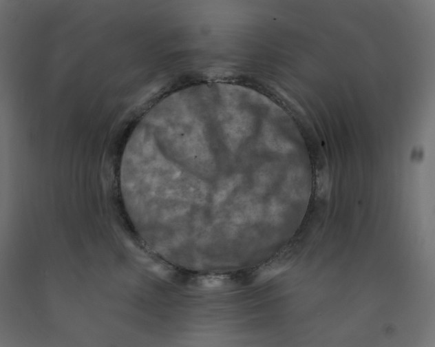 X0000091850618200710031642