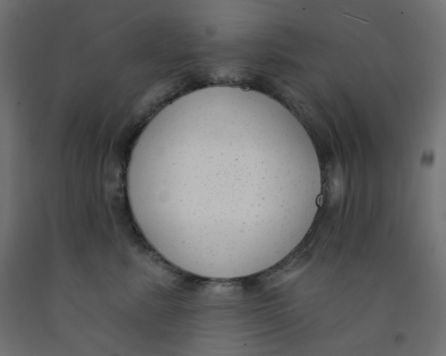 X0000091850619200710031642