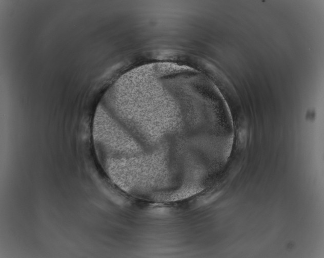 X0000091850620200710031642