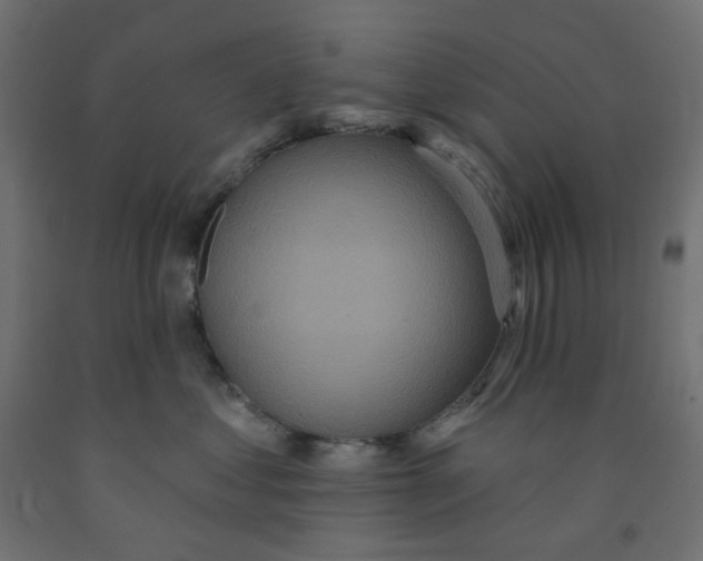 X0000091850621200710031642