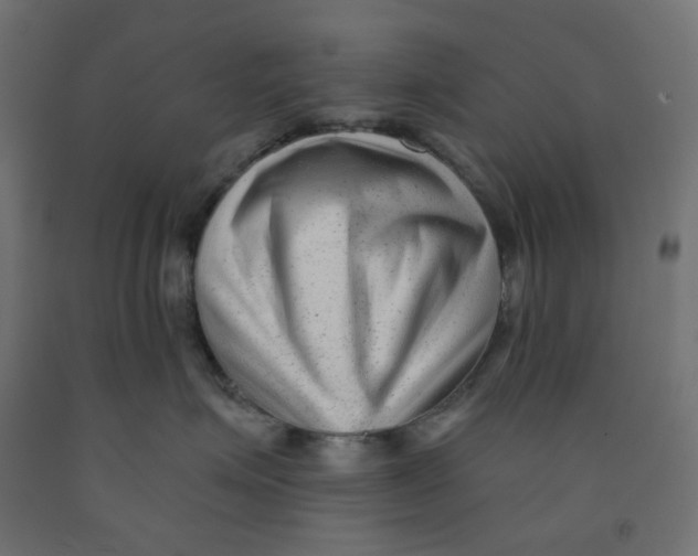 X0000091850623200710031642