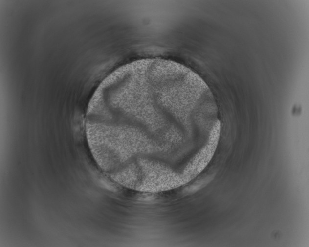 X0000091850624200710031642