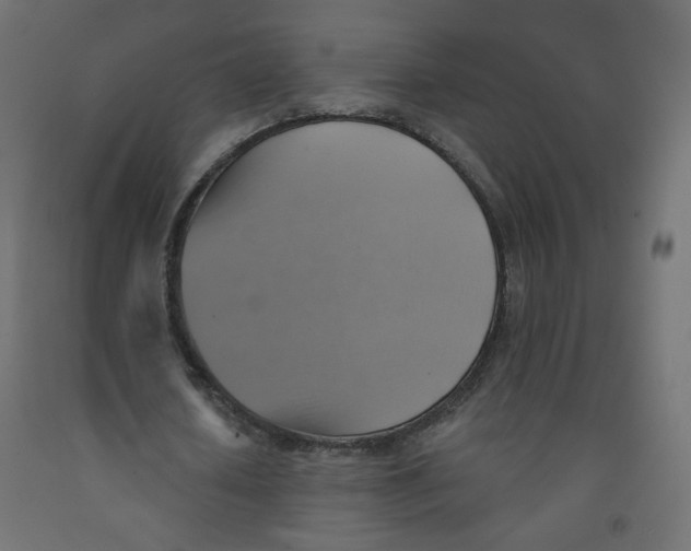 X0000091850626200710031641