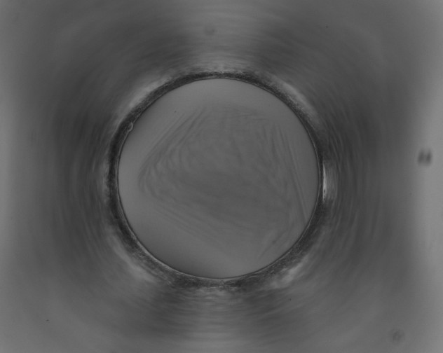 X0000091850627200710031641